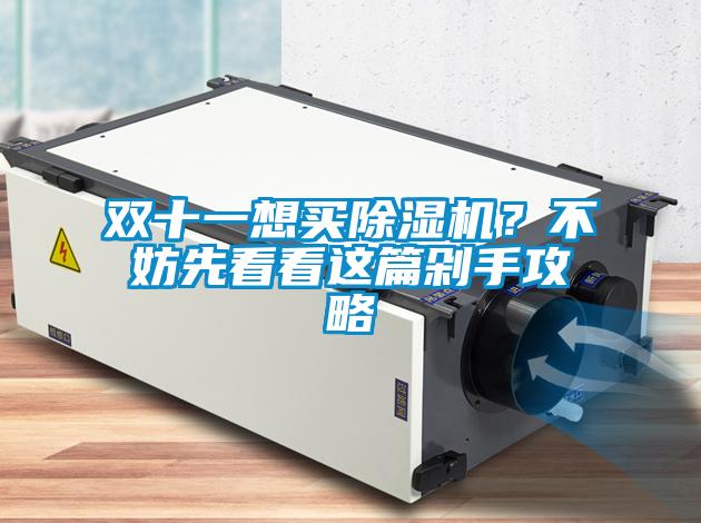 雙十一想買除濕機(jī)？不妨先看看這篇剁手攻略