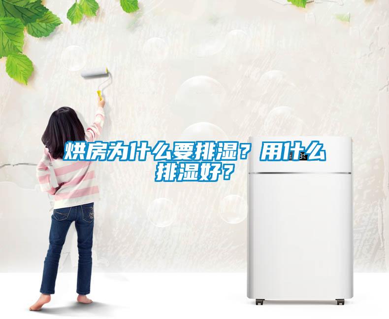烘房為什么要排濕？用什么排濕好？