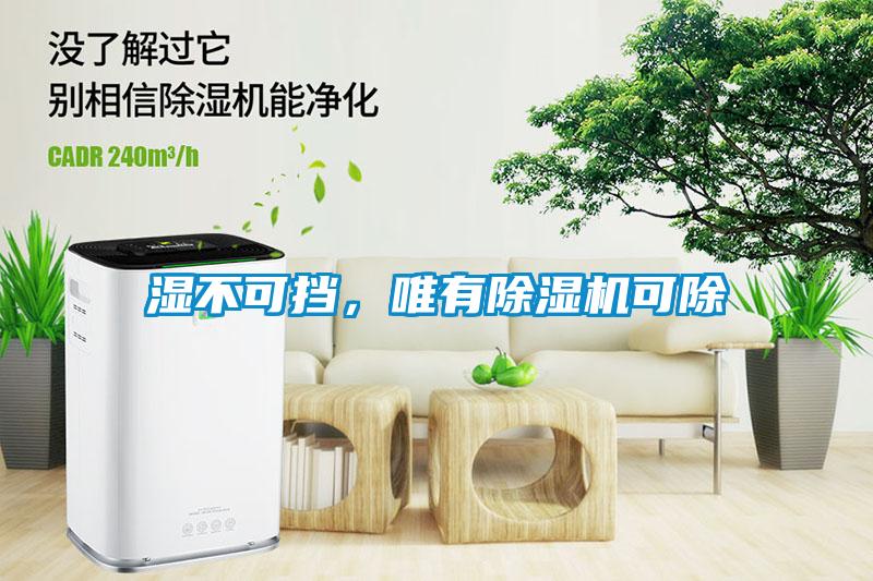 濕不可擋，唯有除濕機(jī)可除