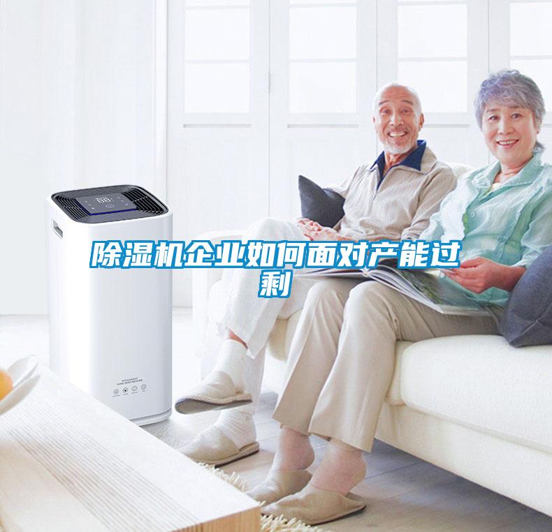 除濕機(jī)企業(yè)如何面對(duì)產(chǎn)能過剩