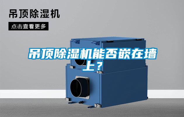 吊頂除濕機能否嵌在墻上？