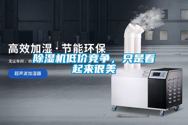 除濕機低價競爭，只是看起來很美