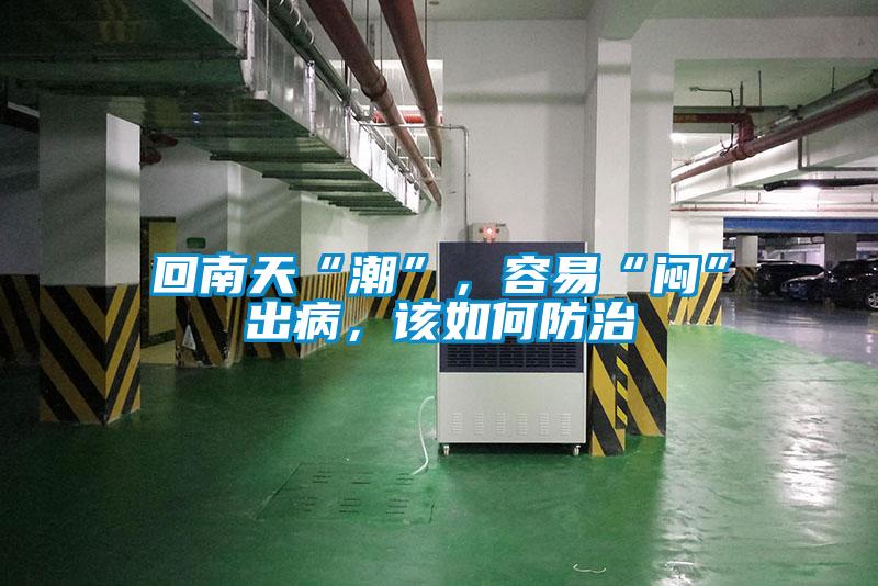 回南天“潮”，容易“悶”出病，該如何防治