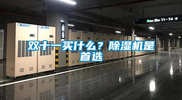 雙十一買什么？除濕機(jī)是首選