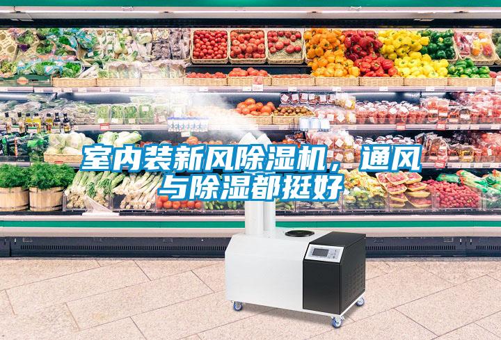 室內(nèi)裝新風除濕機，通風與除濕都挺好