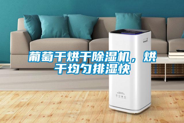 葡萄干烘干除濕機(jī)，烘干均勻排濕快