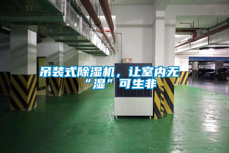 吊裝式除濕機(jī)，讓室內(nèi)無“濕”可生非