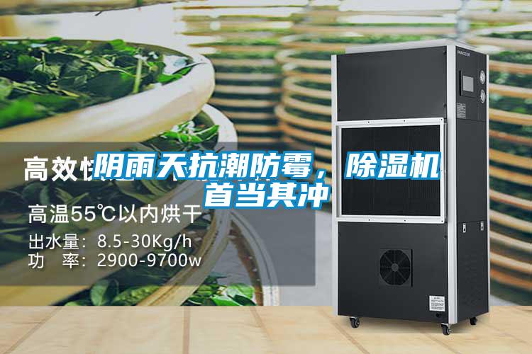 陰雨天抗潮防霉，除濕機(jī)首當(dāng)其沖