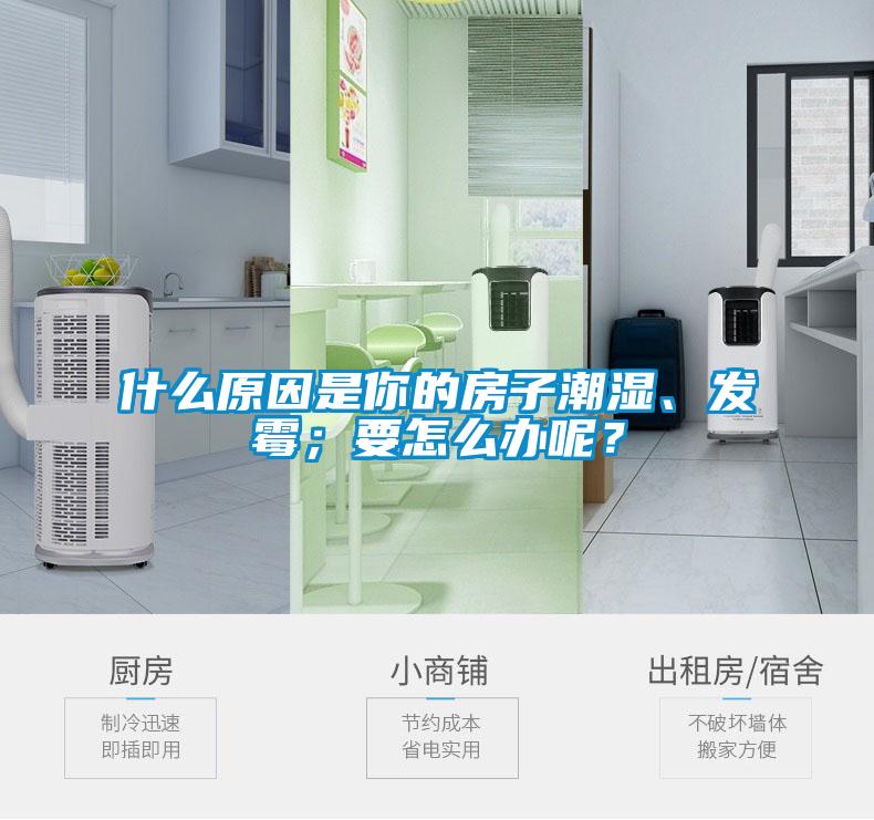 什么原因是你的房子潮濕、發(fā)霉；要怎么辦呢？