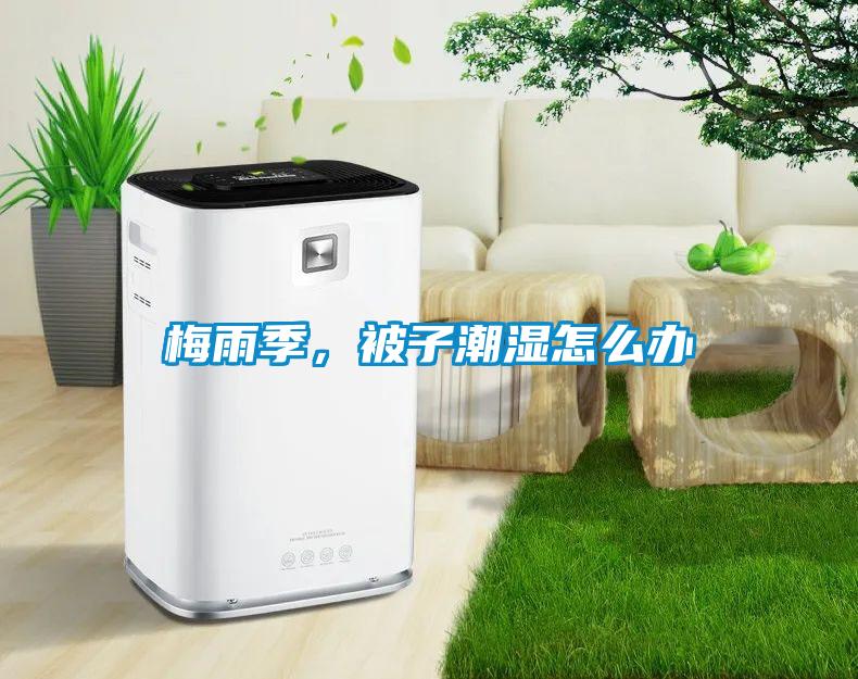 梅雨季，被子潮濕怎么辦