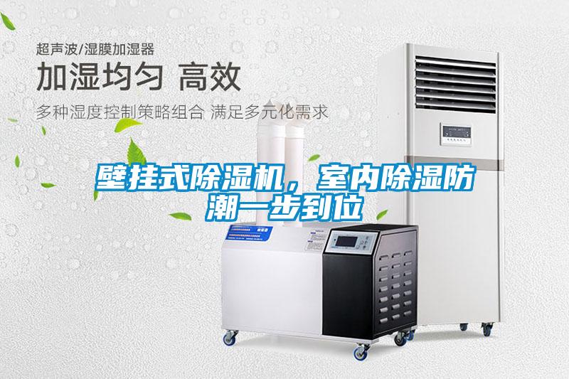 壁掛式除濕機，室內(nèi)除濕防潮一步到位