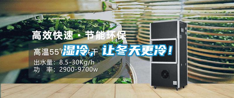 濕冷，讓冬天更冷！