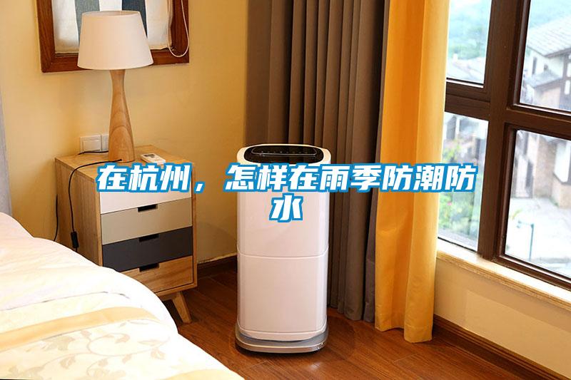在杭州，怎樣在雨季防潮防水