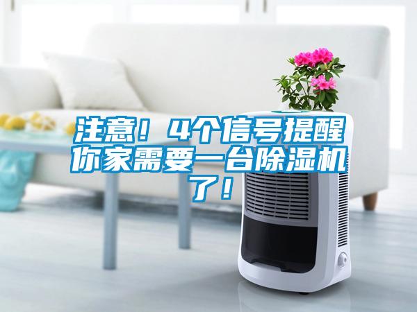 注意！4個信號提醒你家需要一臺除濕機了！