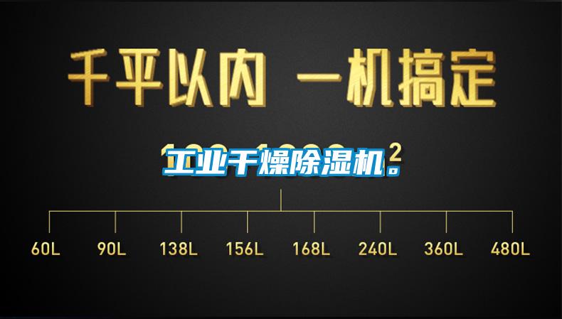 工業(yè)干燥除濕機(jī)。