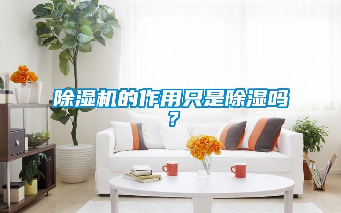除濕機的作用只是除濕嗎？