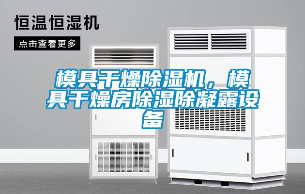 模具干燥除濕機(jī)，模具干燥房除濕除凝露設(shè)備