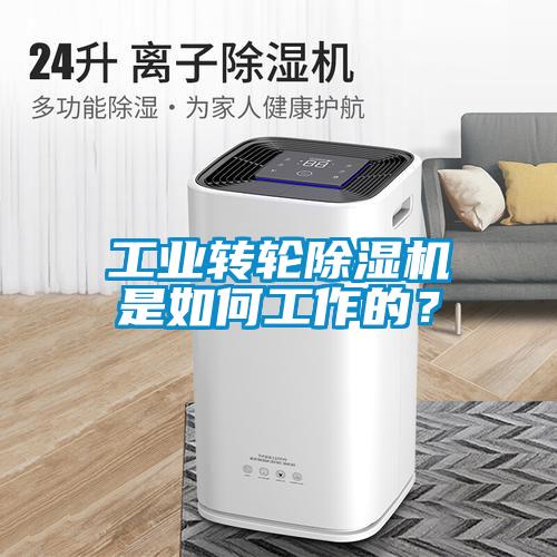工業(yè)轉(zhuǎn)輪除濕機(jī)是如何工作的？