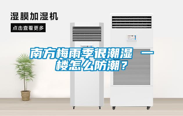 南方梅雨季很潮濕 一樓怎么防潮？