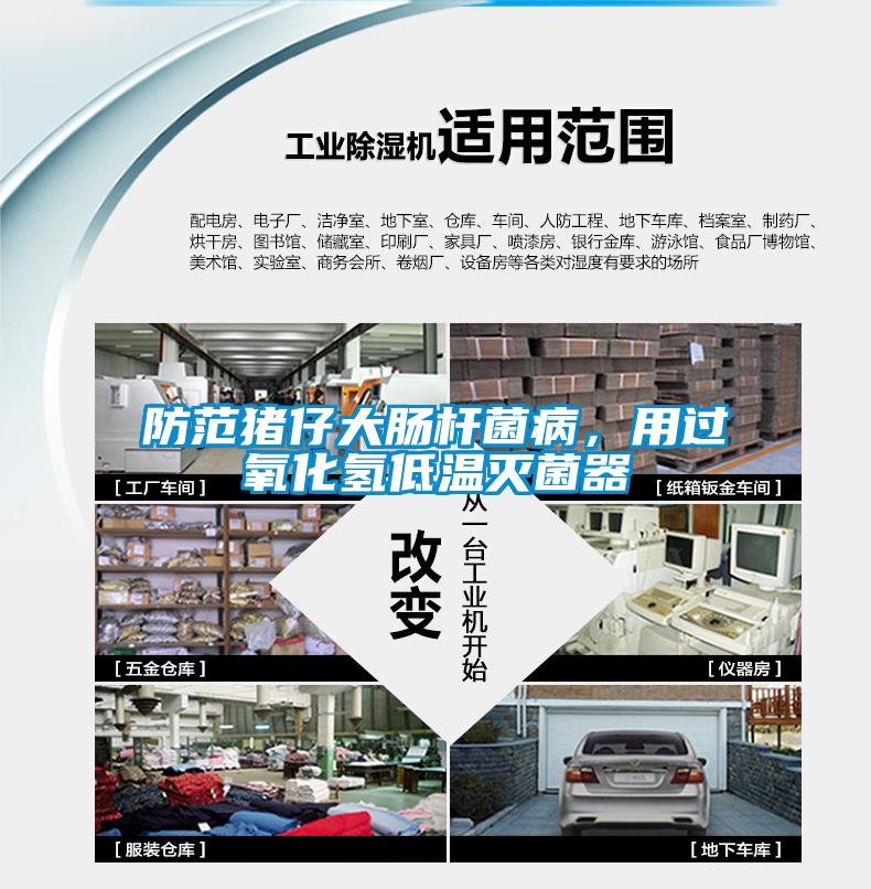 防范豬仔大腸桿菌病，用過氧化氫低溫滅菌器