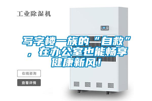 寫字樓一族的“自救”，在辦公室也能暢享健康新風(fēng)！