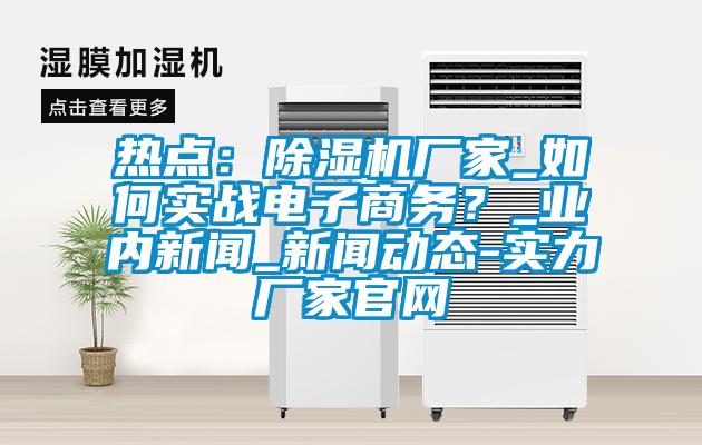 熱點：除濕機(jī)廠家_如何實戰(zhàn)電子商務(wù)？_業(yè)內(nèi)新聞_新聞動態(tài)-實力廠家官網(wǎng)