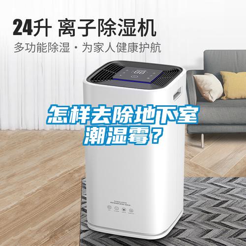 怎樣去除地下室潮濕霉？