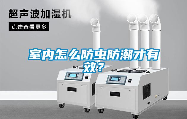 室內(nèi)怎么防蟲防潮才有效？