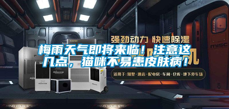 梅雨天氣即將來臨！注意這幾點(diǎn)，貓咪不易患皮膚??！