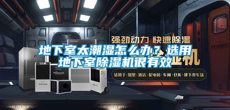 地下室太潮濕怎么辦？選用地下室除濕機(jī)很有效