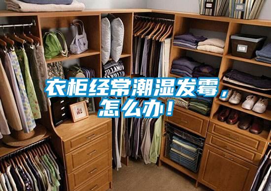 衣柜經(jīng)常潮濕發(fā)霉，怎么辦！