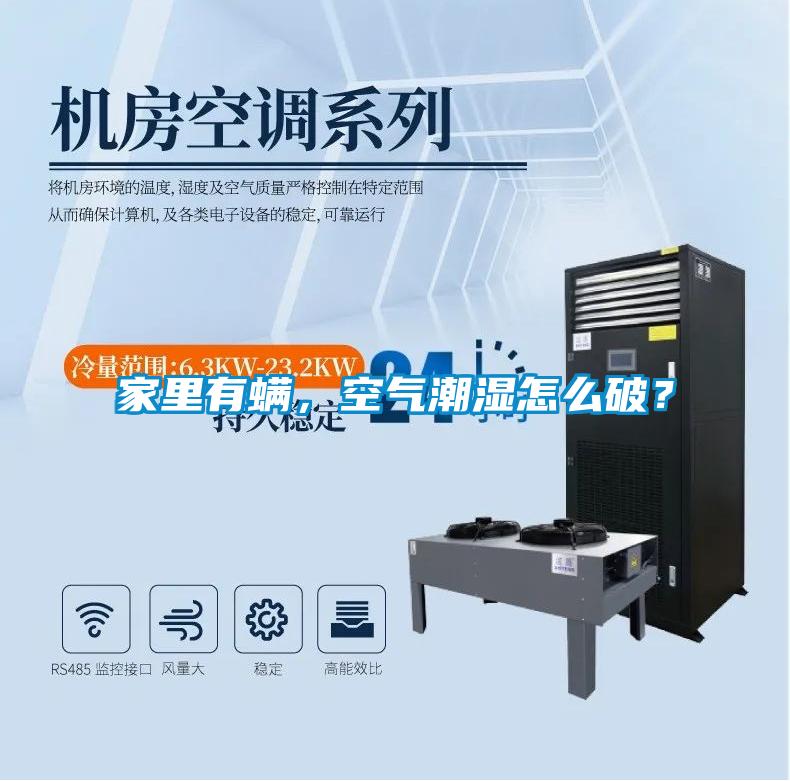 家里有螨，空氣潮濕怎么破？