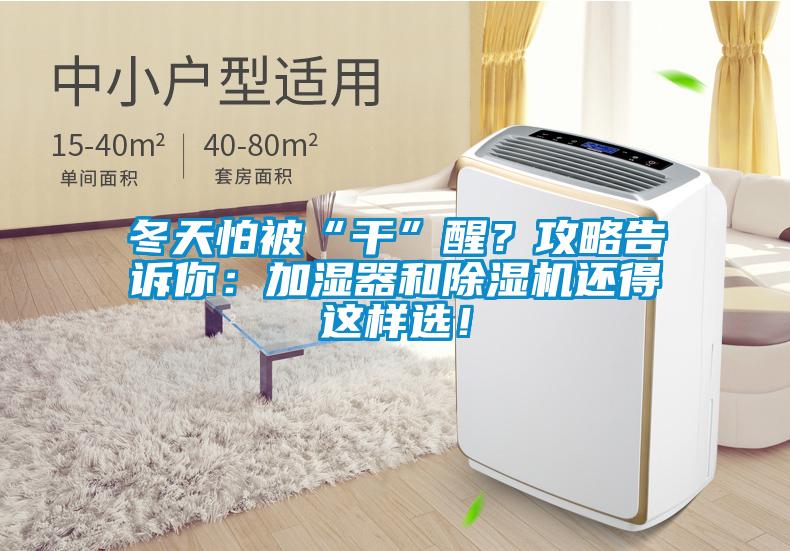 冬天怕被“干”醒？攻略告訴你：加濕器和除濕機(jī)還得這樣選！