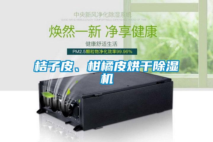 桔子皮、柑橘皮烘干除濕機(jī)