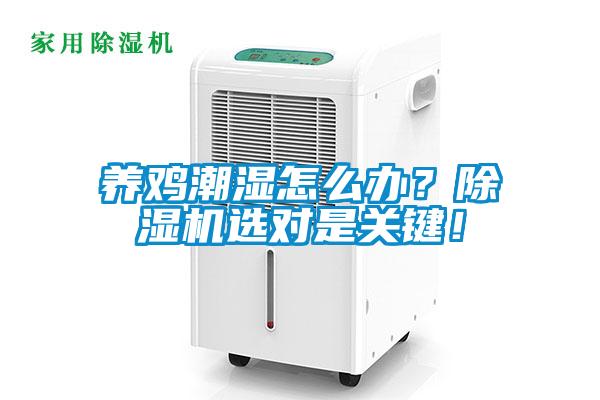 養(yǎng)雞潮濕怎么辦？除濕機選對是關鍵！