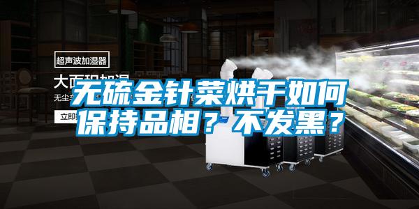 無硫金針菜烘干如何保持品相？不發(fā)黑？