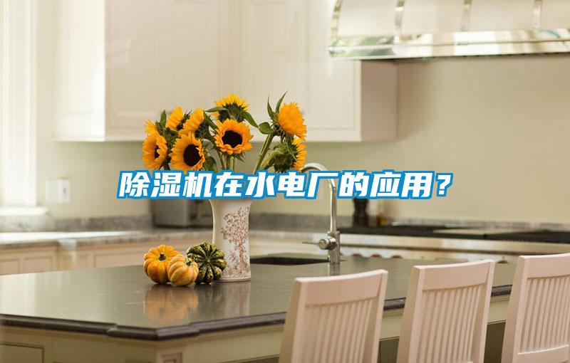 除濕機在水電廠的應(yīng)用？
