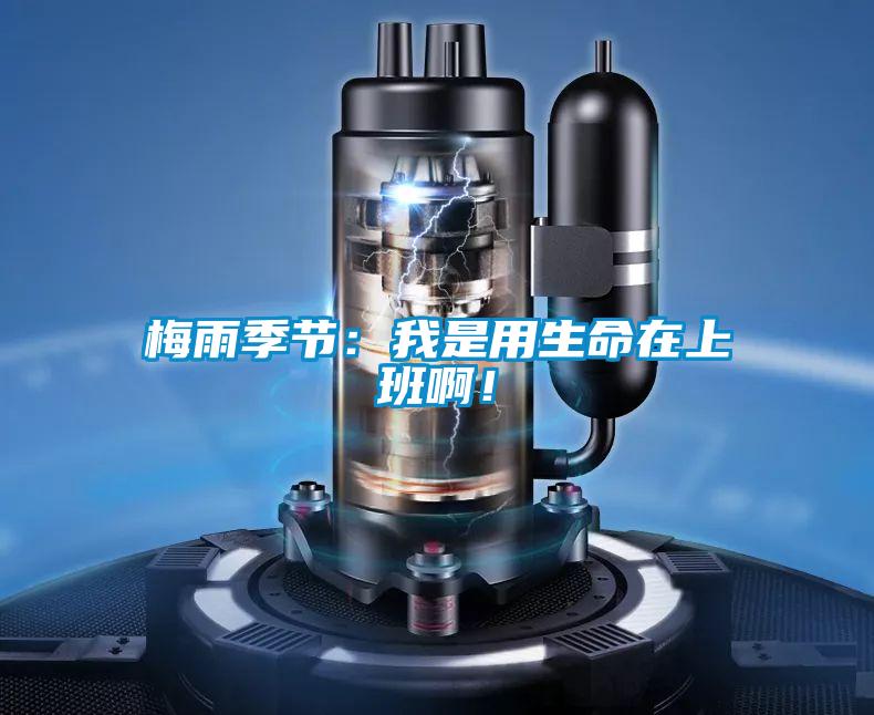 梅雨季節(jié)：我是用生命在上班啊！