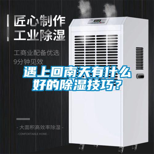 遇上回南天有什么好的除濕技巧？