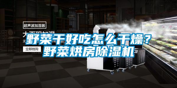野菜干好吃怎么干燥？野菜烘房除濕機