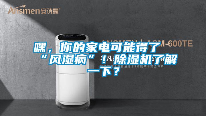 嘿，你的家電可能得了“風(fēng)濕病”！除濕機(jī)了解一下？