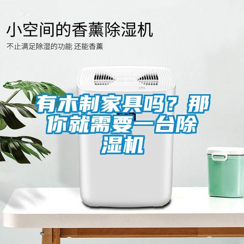 有木制家具嗎？那你就需要一臺除濕機