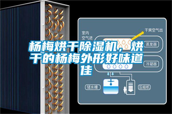 楊梅烘干除濕機，烘干的楊梅外形好味道佳