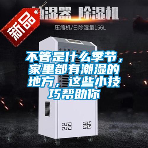 不管是什么季節(jié)，家里都有潮濕的地方，這些小技巧幫助你