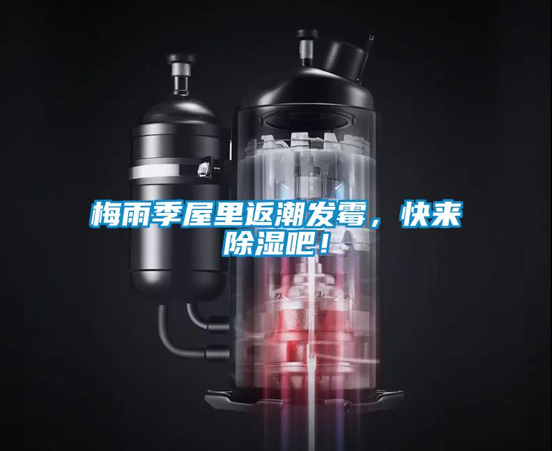 梅雨季屋里返潮發(fā)霉，快來除濕吧！