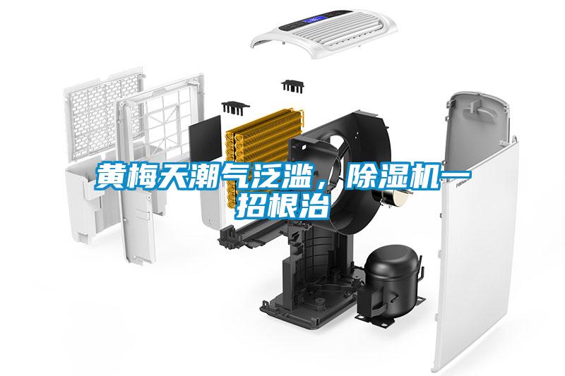 黃梅天潮氣泛濫，除濕機(jī)一招根治