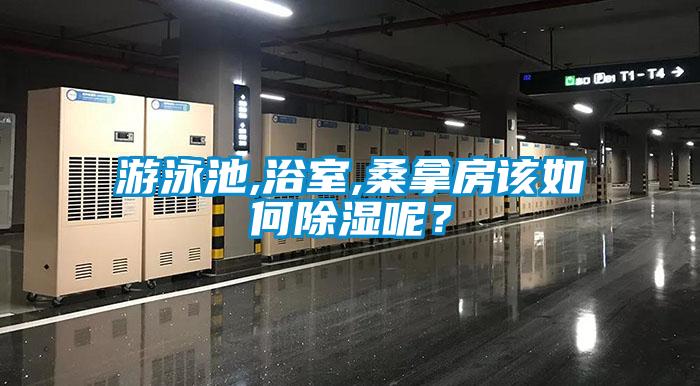 游泳池,浴室,桑拿房該如何除濕呢？