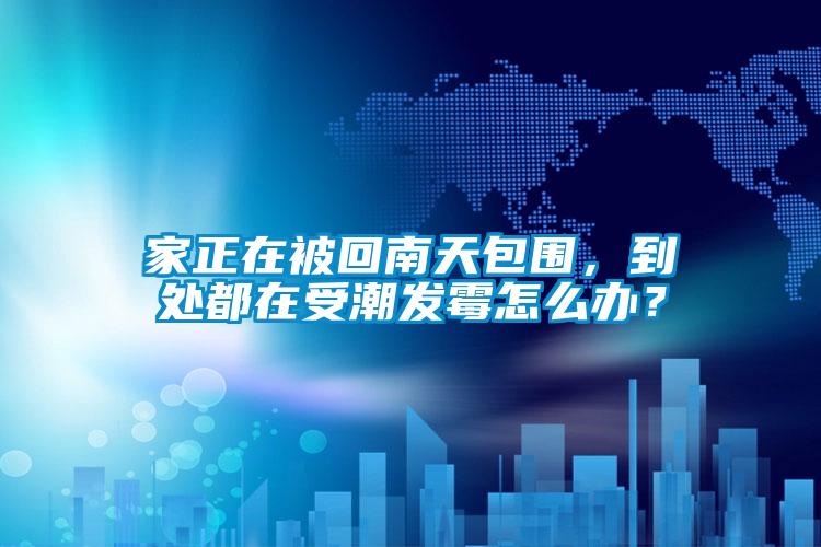 家正在被回南天包圍，到處都在受潮發(fā)霉怎么辦？