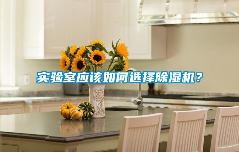 實(shí)驗(yàn)室應(yīng)該如何選擇除濕機(jī)？