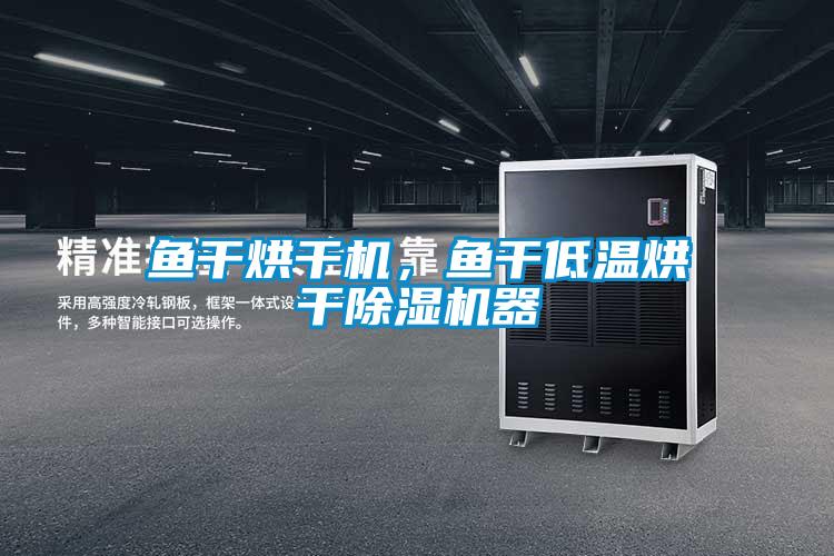 魚干烘干機，魚干低溫烘干除濕機器
